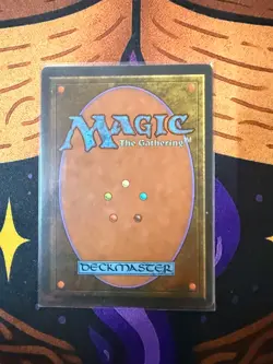 foriegn black border wheel of fortune MTG LP - Image 2