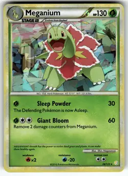 Meganium (Cracked Ice Holo) 26/123 Holo Holo Rare Deck Exclusives Pokemon NM - Image 1