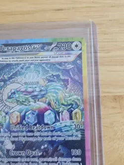 Terapagos ex 170/142 Sv07: Stellar Crown Holo Pokemon Card - Image 2