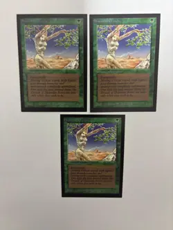 MTG 3X INTERNATIONAL / COLLECTOR'S EDITION SHANODIN DRYADS (IE / CE) BETA ART - Image 3