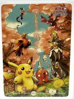2021 Pokemon Japanese Let's Have Fun! Spring Pokemon Sticker GEM MT PSA 10 - Image 3