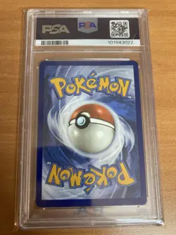 POKEMON SQUIRTLE 2024 STELLAR CROWN #148 ILLUSTRATION RARE PSA 10 - Image 3