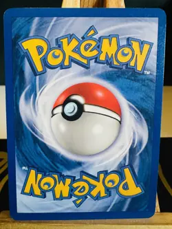 Swinub 79/109 Common [NM] [Team Rocket Returns] (2004) Pokemon Card - Image 2
