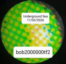 1x Underground Sea Revised Edition LP-MP MTG - Image 3