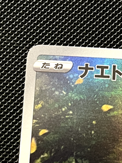 Pokemon Turtwig AR 206/172 – VSTAR Universe s12a (Japanese) - Image 2