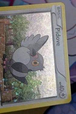 Pidove - 11/12 - McDonald's Promo 2011 Pokemon Pokemon Promos - Image 3