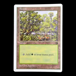 Forest Arena - Anthologies - Magic The Gathering MTG - Land - LP - Image 2