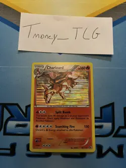 Pokemon TCG - Charizard - 19/113 - Holo - Rare - Legendary Treasures [Near Mint] - Image 1