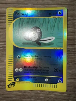 Pokemon Poliwag Skyridge Common Reverse Holo 40 HP 87/144 English 2003 NM / LP - Image 2