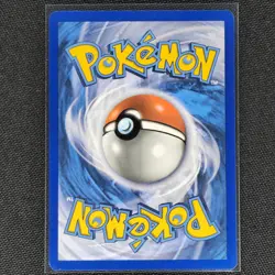 Tepig - 13/25 - Confetti Holo - McDonald's 25th Anniversary Promos - Card - LP - Image 2