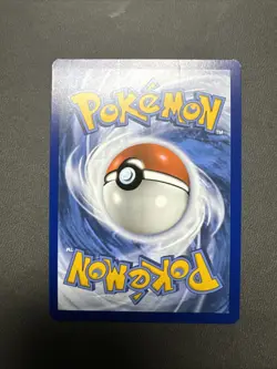 Terapagos ex 170/142 Sv07: Stellar Crown Special Illustration Rare Pokemon NM - Image 3