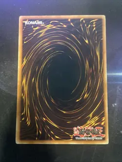 Chrysalis Dolphin - POTD-EN006 - LP - Common - 1st ed - Yugioh - Image 2