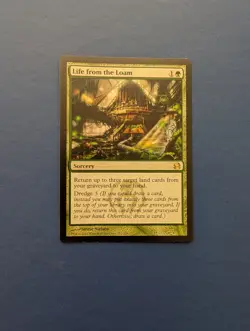 MTG Life from the Loam: Modern Masters #153 – NM - Image 1
