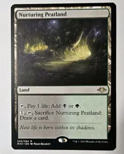 MTG Nurturing Peatland MH1 Modern Horizons 243 NM - Image 1