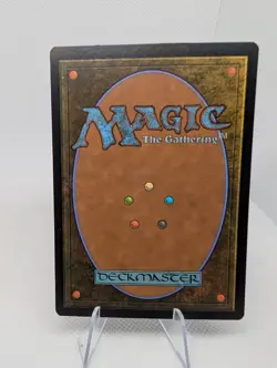 Paladin Class - English Adventures in the Forgotten Realms MTG Magic LP - Image 2