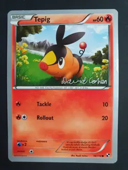 Tepig 15/114 - World Championship Decks (David Cohen) - Pokemon Card - MP - Image 1