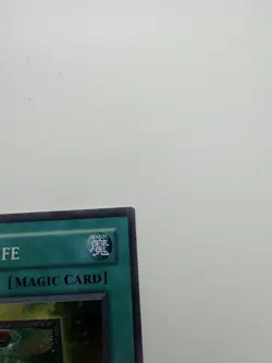 Book Of Life MP 1st Edition Super Rare PGD-033 Yu-Gi-Oh! TCG See Photos - Image 3