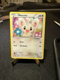 Minccino BW13 Promo BW Black Star Promos Pokemon MP - Image 1