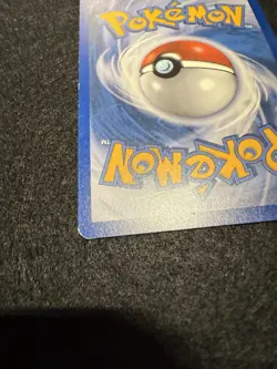 Minccino BW13 Promo BW Black Star Promos Pokemon MP - Image 4