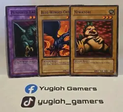 YUGIOH PUNISHED EAGLE SET HEAVY PLAYED COMMON - Image 1