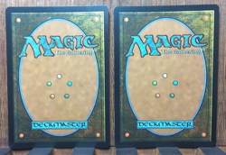 2x MTG - Forest (388) FOIL - Secret Lair Drop Series (SLD) NEAR MINT PACK FRESH - Image 2