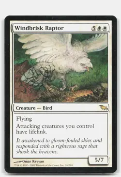 Windbrisk Raptor 26 Rare Shadowmoor Magic: The Gathering Near Mint - Image 1