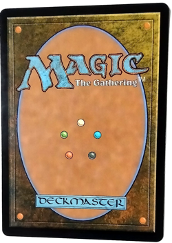 Virtue of Loyalty (Showcase) - Wilds of Eldraine (WOE) - EN - M 0277 - Image 2