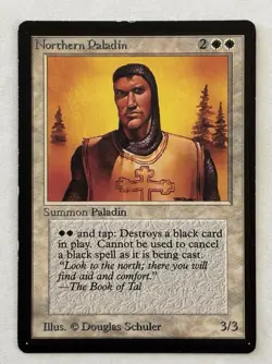 Northern Paladin Limited Edition Beta LP MTG Magic MP- Moderately Played - Image 1