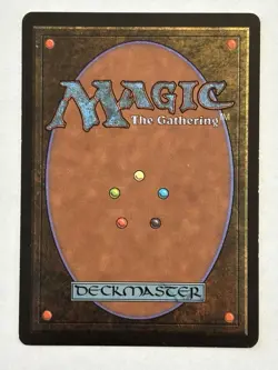 Northern Paladin Limited Edition Beta LP MTG Magic MP- Moderately Played - Image 2