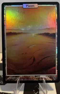 Plains - Full Art Unhinged Foil - Image 1
