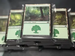 100x Basic Lands Land Pack - Bulk Lot - 20 Of Each Color MTG Magic The Gathering - Image 2