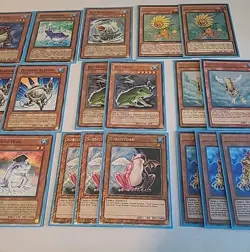 Yugioh Edison Format Frog Aka Forg Deck! Absolute Zero, Substitoad, Caius, Dupe - Image 3