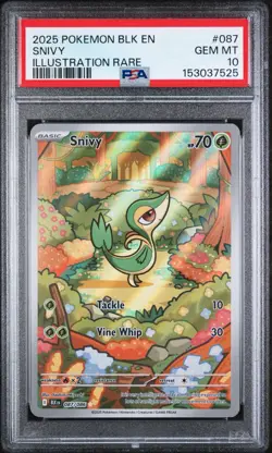 2025 Pokemon Scarlet And Violet Black Bolt Snivy Illustration Rare #87 PSA 10 - Image 1