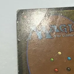 Karplusan Forest - Magic the Gathering MtG - Ice Age - DAMAGED - Image 4