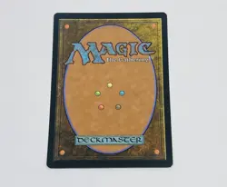 Celebrate The Harvest - Magic the Gatherng Trading Card 024/038 Mtg Tc7 - Image 2