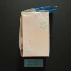 Pokemon Center Japan Pikachu & Eevee Jewel Card Deck Box ~ US SELLER - Image 3