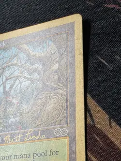 Gold Border Gaea's Cradle - 1999 Matt Linde World Championship - Image 5