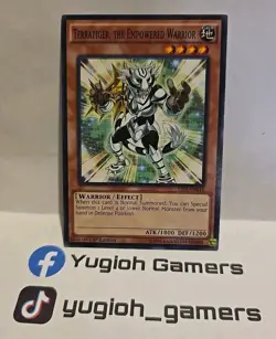 YUGIOH TERRATIGER THE EMPOWERED WARRIOR YS14 1ST EDITION COMMON LIGHT PLAYED - Image 1