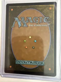 Turbulent Steppe (Extended Art) MTG SOC #0106 Pack Fresh Secrets of Strixhaven - Image 4