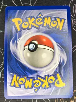 Eevee Holo Black Star Promo Card Wizards 11 WOTC #1 - Image 2