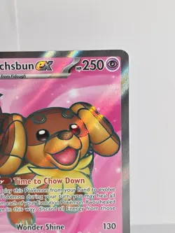 Dachsbun ex Full Art 160/142 Sv07 Stellar Crown Ultra Rare Pokemon TCG NM - LP - Image 3