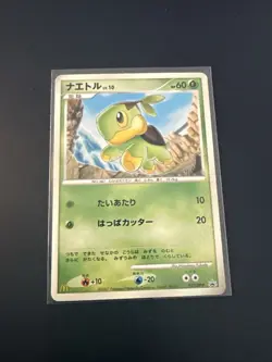 Pokemon Card / Carte Tortipouss Promo 027/DP-P (B68) - Image 1