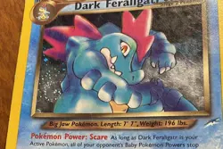 Dark Feraligatr 5/105 Pokemon Neo Destiny Holo HP Heavily Played - Image 2