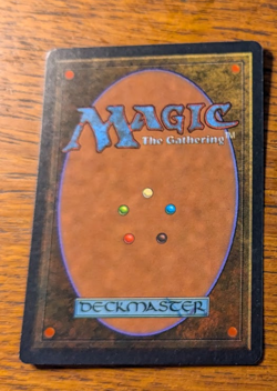 MTG Citanul Druid - Antiquities - LP - Image 2