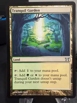 MTG Magic the Gathering Champions of Kamigawa Tranquil Garden - Image 1