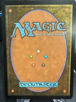 MTG Magic the Gathering Champions of Kamigawa Tranquil Garden - Image 2