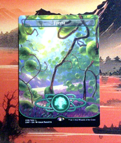 MTG Forest (239) (Borderless) Regular UNF 239 NM L - Image 1