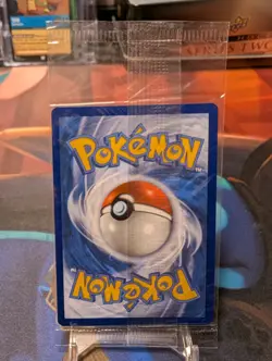 Greninja - SWSH144 - Sealed NM, English Pokemon SWSH Black Star Promos - Image 2