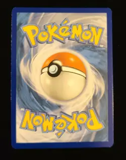 Pokemon - Polteageist SWSH081 - Holo Black Star Promo Card - Image 2
