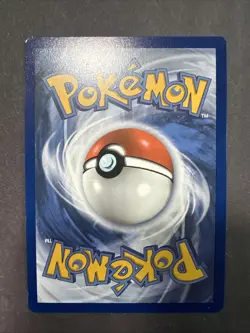 Morpeko SWSH116 SWSH: Sword & Shield Promo Cards Holo - Image 4